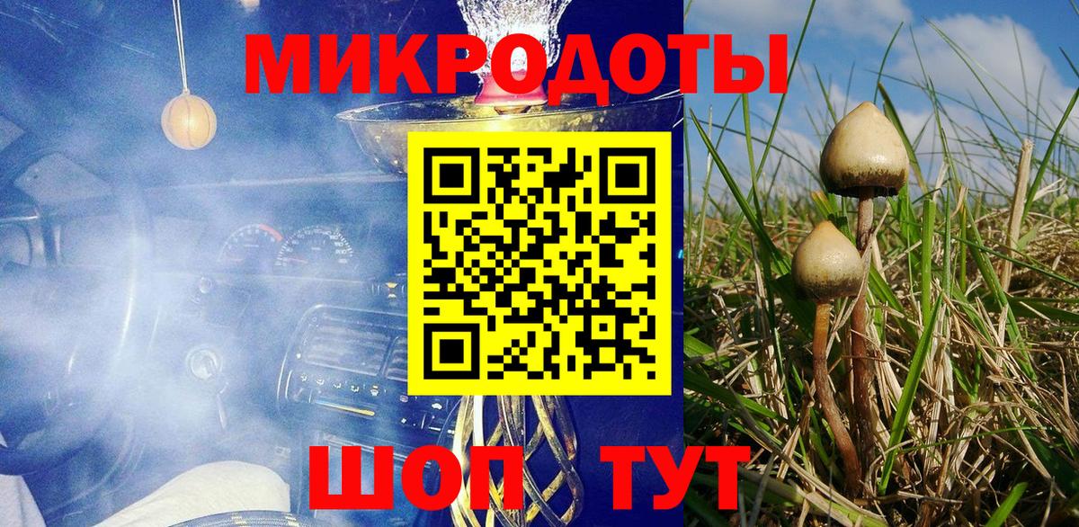 Псилоцибиновые грибы Cubensis  купить   Кингисепп  Вход с VPN 