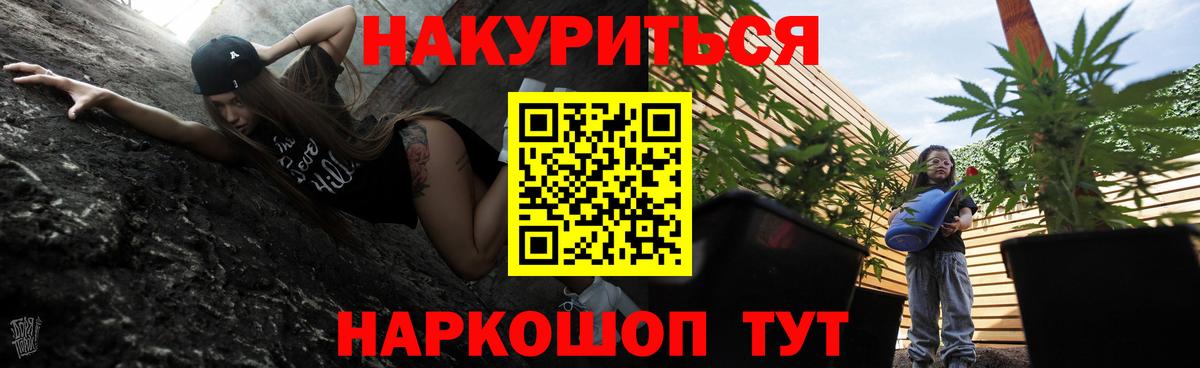 Марихуана Amnesia  Вход с VPN  Кингисепп  Конопля сатива  Шишки марихуана Amnesia  Канабис конопля 